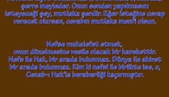 Düştüm Aşkın Seline – Ya Kadiri- Hakkı Seven Aşıkların – Tevhid Etsin Dİlimiz