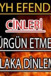 Şeyh Efendinin Cinleri Sürgün etmesi (MUTLAKA DİNLEMELİSİN)